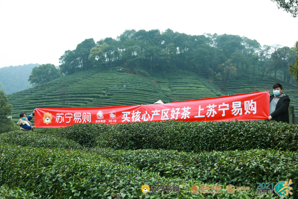 苏宁超市公布茶叶消费人群画像：南京、北京、上海最爱喝茶