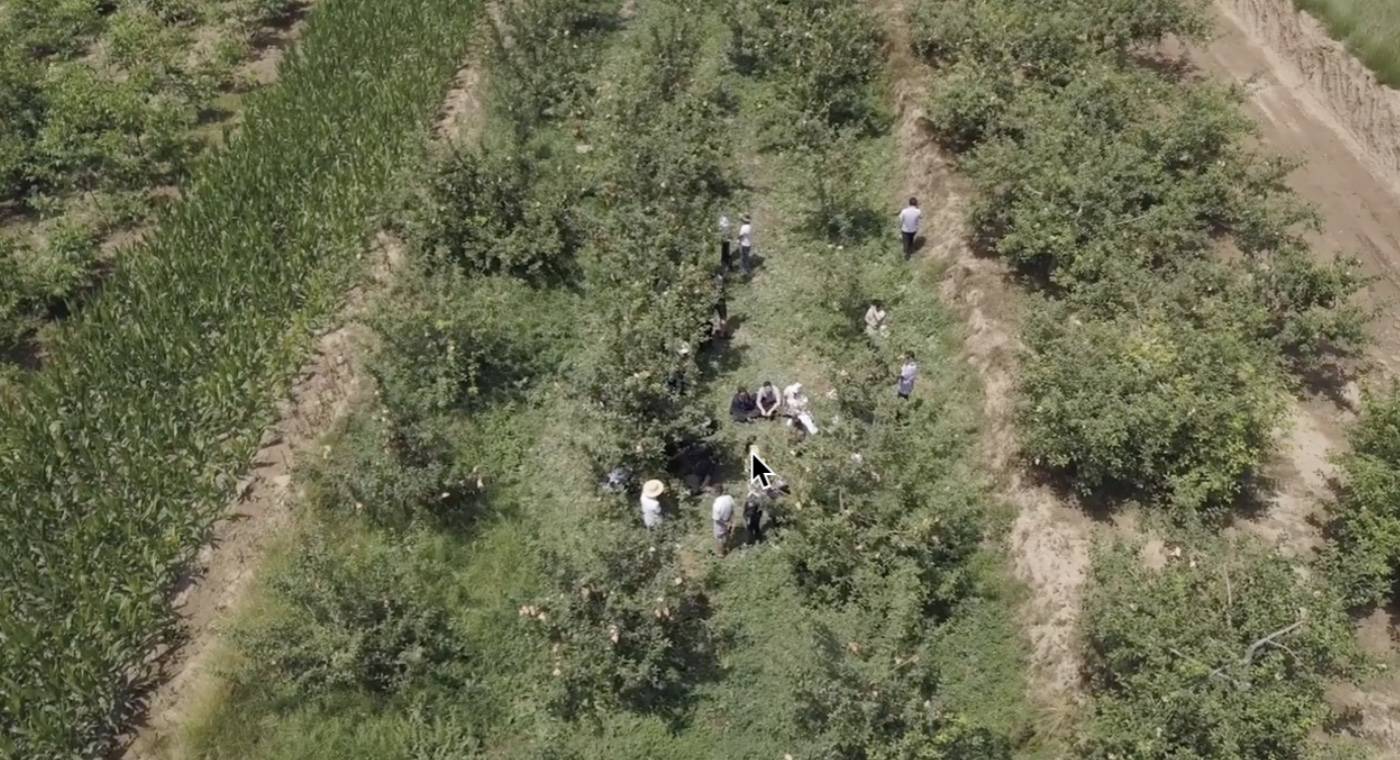 果农粉丝见面会：土屋，老树，黑红的脸庞，他们哭了好几次