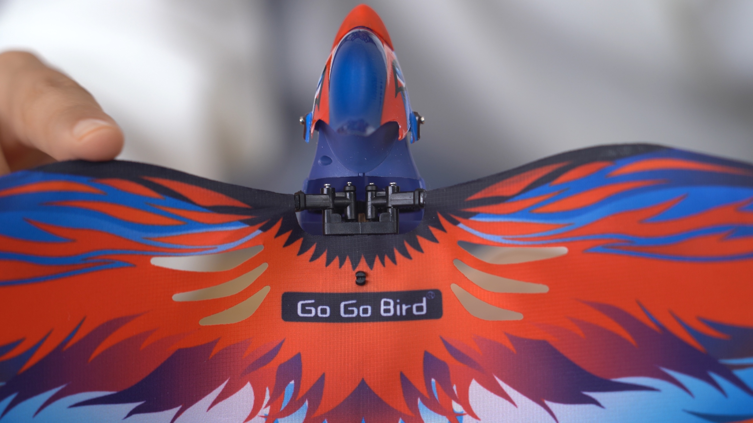 ¿Go Go Bird Ƽָг