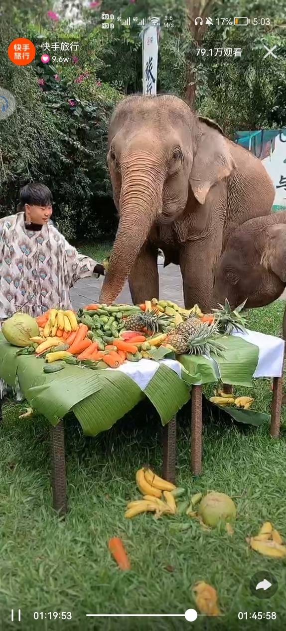 快手旅行奇遇记第二站解锁云南，线上线下联动开启生物多样性探秘之旅