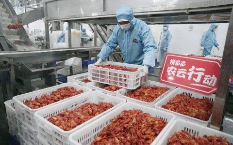 拼多多“农云行动”走进湖北潜江，网红小龙虾“云拼”加速度