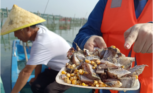 “秋天的第一口大闸蟹”来了！梦饷科技携手湖中之王大闸蟹抢“鲜”消费者餐桌