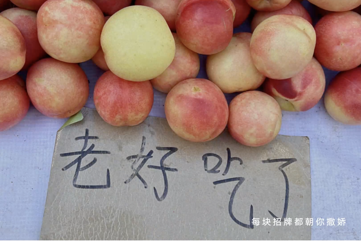 拥抱快手，铁岭擦亮城市名片