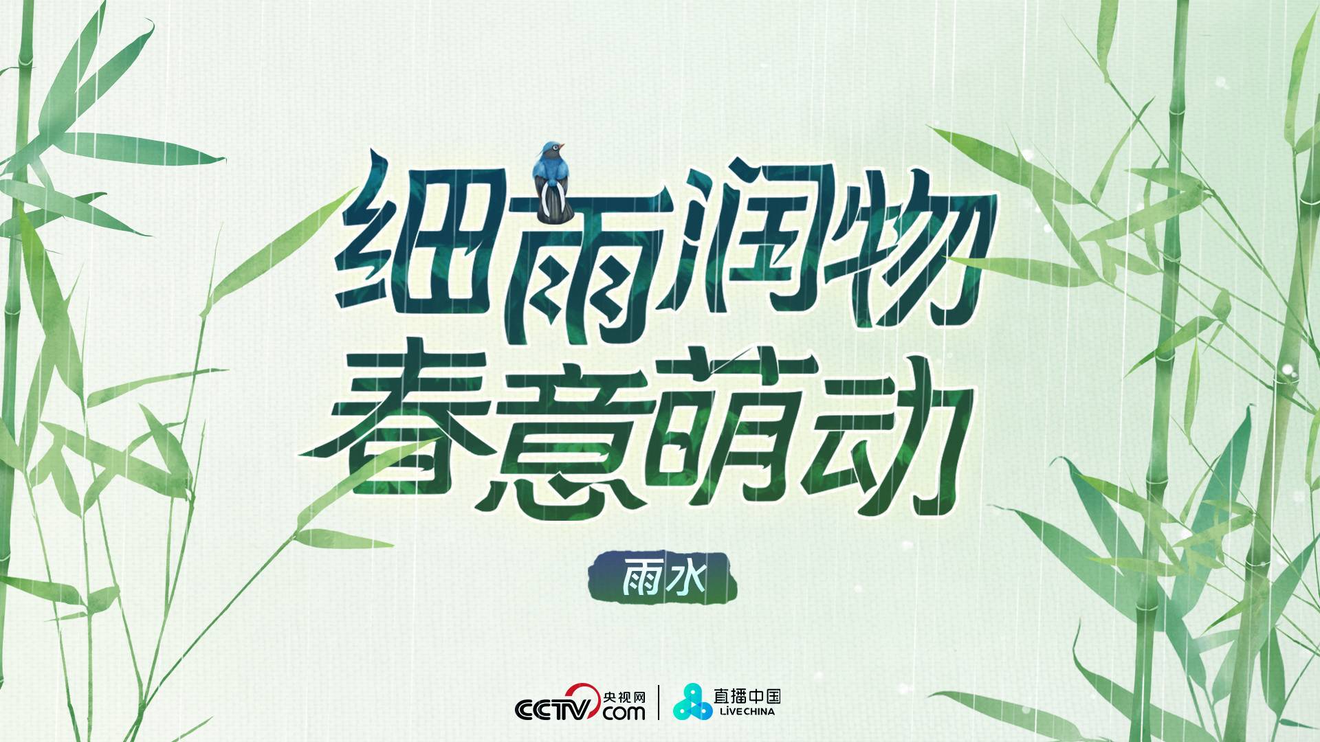 直播：细雨润物 春意萌动