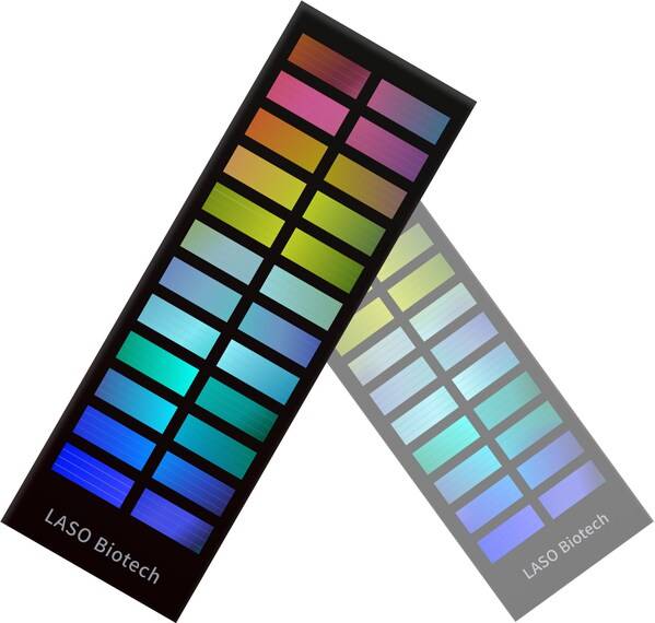 首款国产分子育种固相基因芯片发布，驱动种业创新与粮食安全