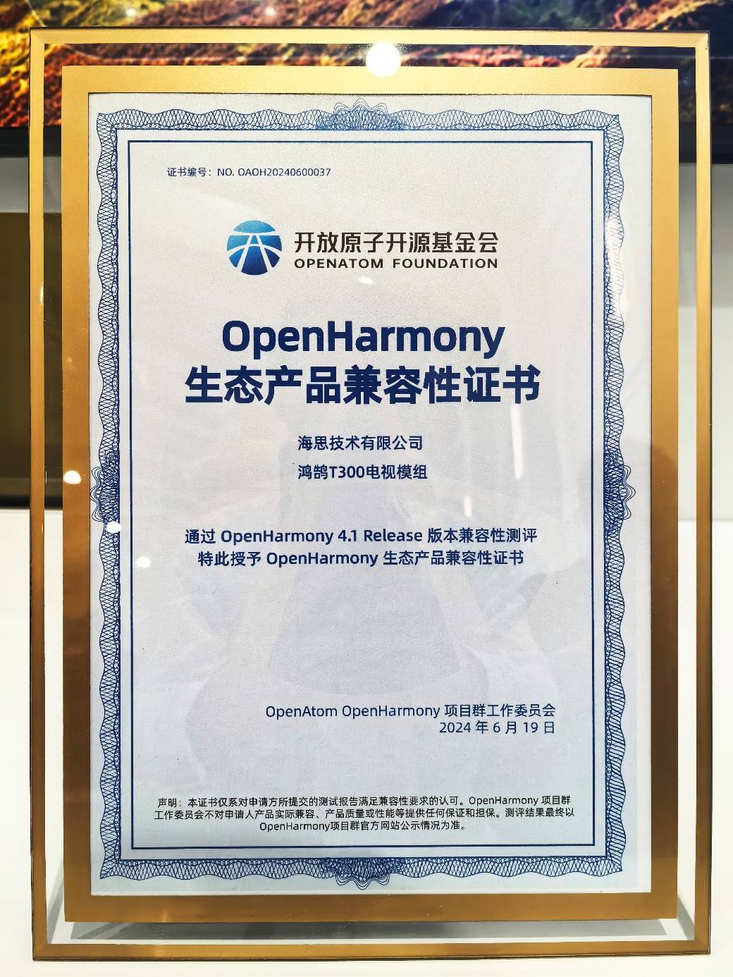 华为开发者大会盛大启幕，康佳电视携手海思惊艳亮相！