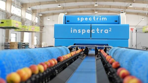 加速疆品出疆，陶朗AI分选为新疆水果企业开新路