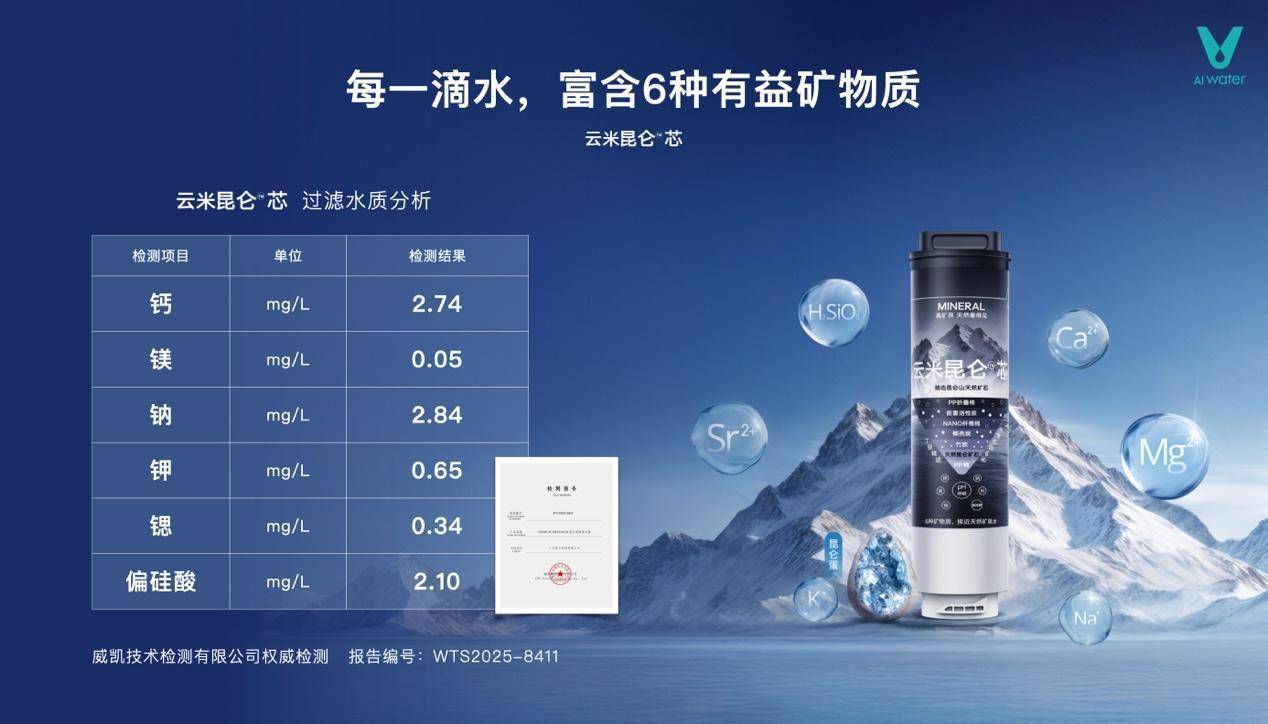 图形用户界面, 网站描述已自动生成