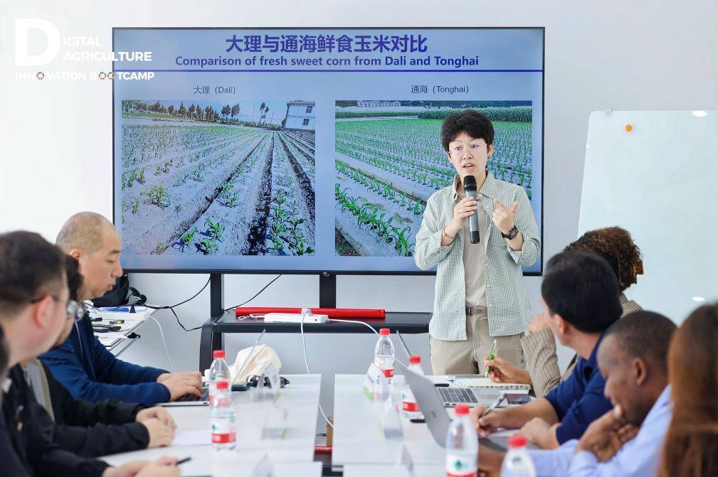 中国农业大学副教授金可默向海内外农创客代表介绍养分智慧管控平台。傅俊豪摄