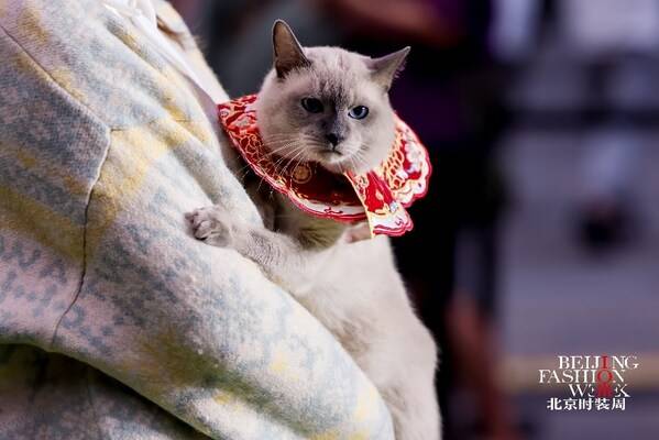 现场潮宠穿上希宝与红楼梦联名的宠物云肩