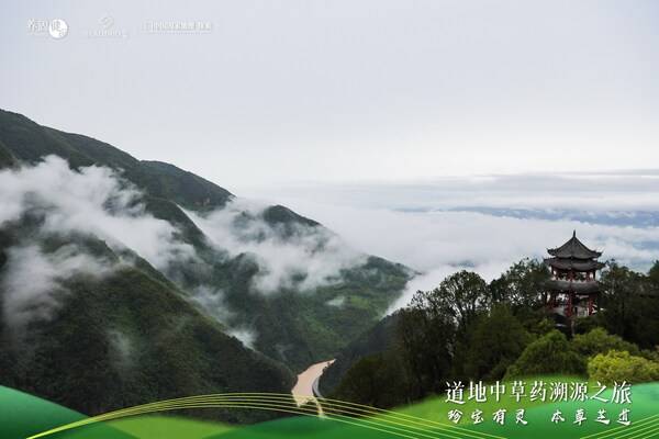 养固健×萃雅溯源汉中灵芝：道地仙草织就乡村振兴纽带
