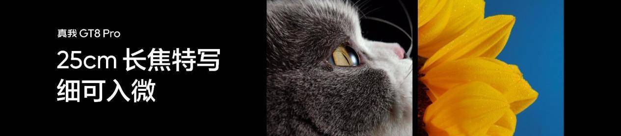 真我GT8系列正式发布，全系搭载理光GR影像系统