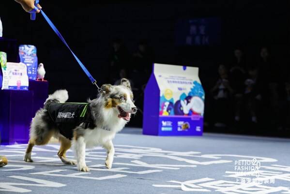"富养天性，天生上镜"----蓝氏登陆上海宠物时装周，诠释"人宠和谐"新风尚
