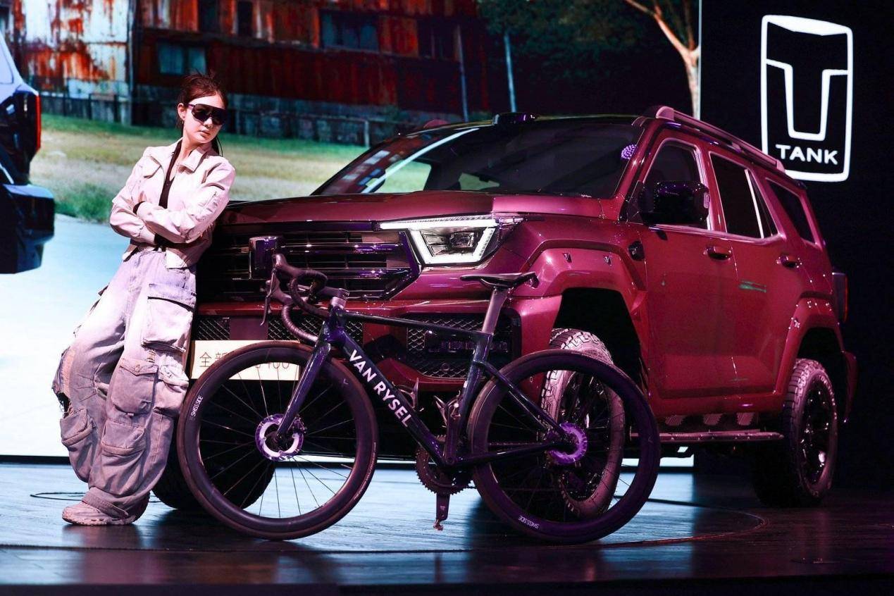 年轻人的潮酷装备 全新坦克400正式上市 24.98万元起