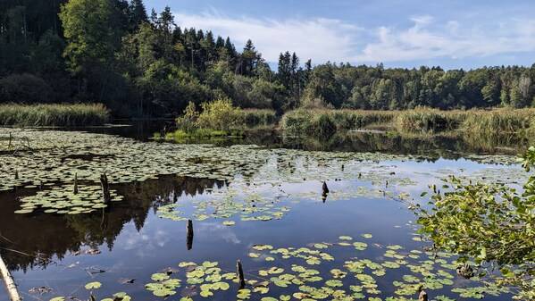 DEKRA德凯以行动践行气候责任承诺