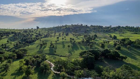 DEKRA德凯以行动践行气候责任承诺