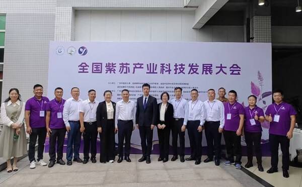 湖北省黄石市阳新县领导班子合影 卫健委严定方主任（右7），张素兰副主任（右6）