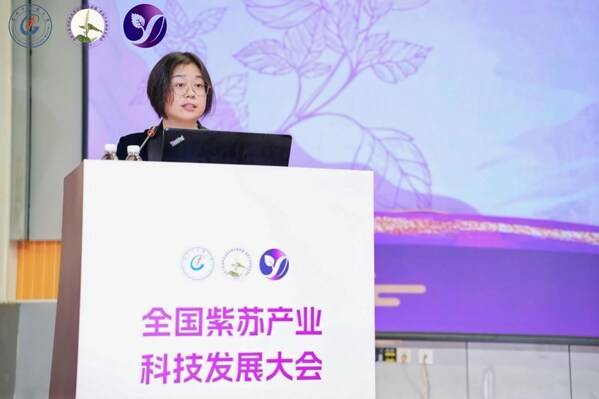 阳新副县长林子荣大会致辞