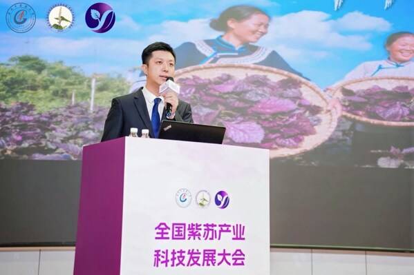 阳新县委副书记李冠男出席“阳新紫苏“品牌发布仪式