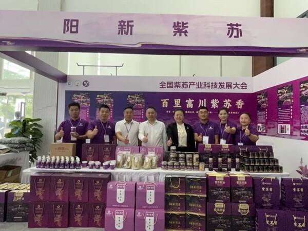 阳新紫苏产品展示 黄石市卫健委主任严定方(右4)，副主任张素兰（左4）推荐阳新县紫苏系列产品