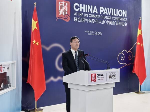 Linglong Tire Wang Feng Delivered a Speech during COP30