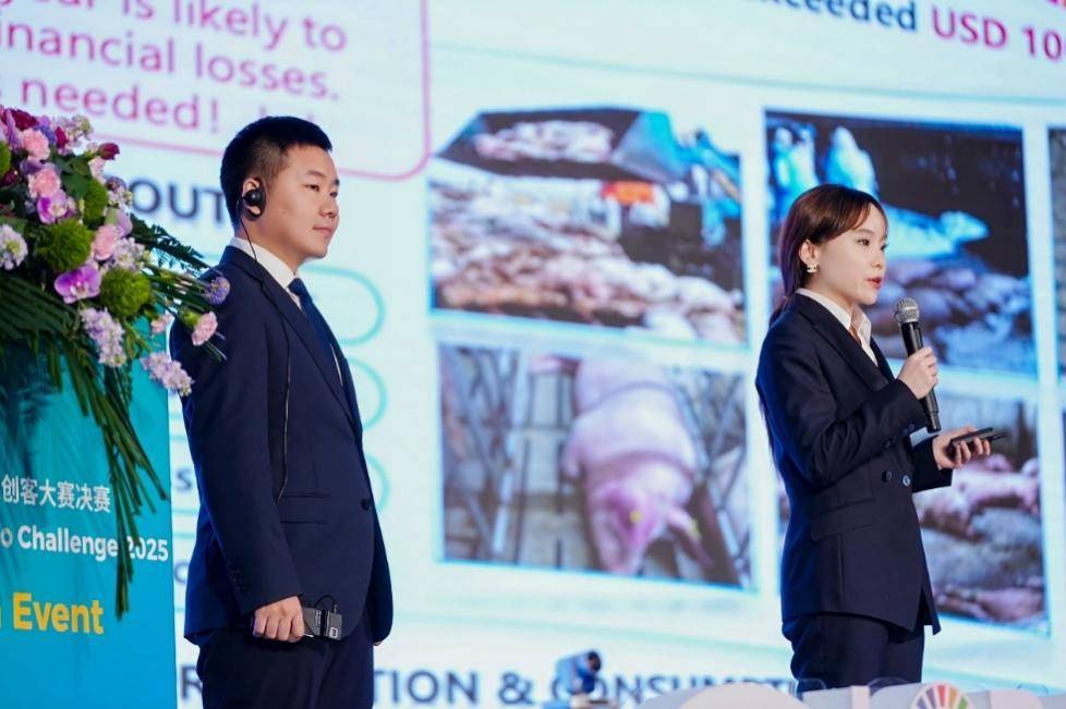 拼多多发布Q3财报，新电商迎创业十周年，加大投入反哺生态回馈社会