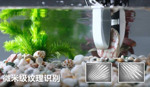 微米级纹理识别