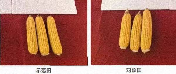 新品“水溶美麟美”使用前后对比效果