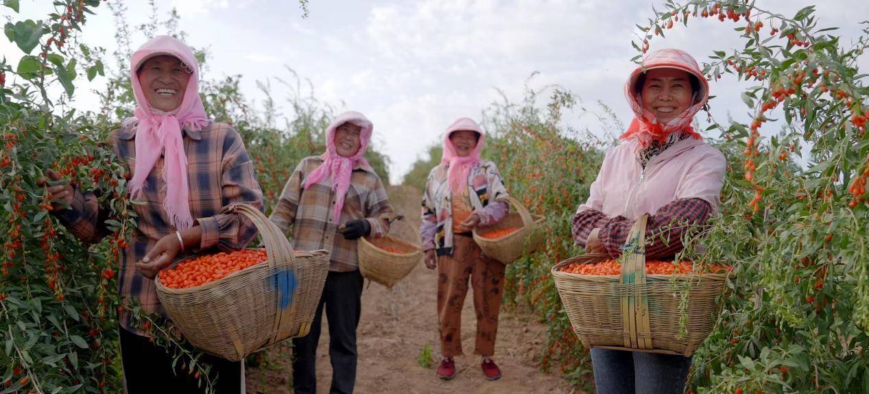 a432c14974d48c5d48b3626f2506b18