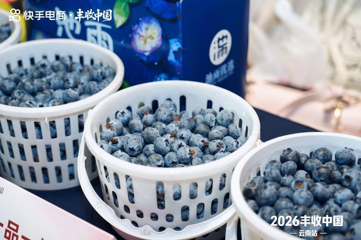 “丰收中国·云南站”在昆明启动 多方协同助推“云品”上行