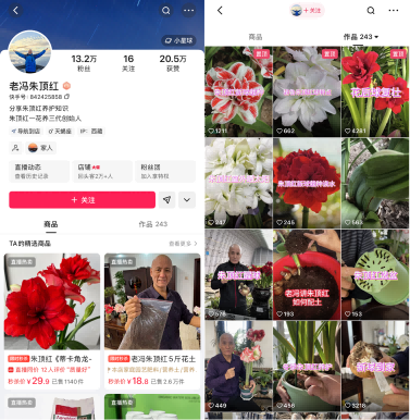 把三角梅卖到西藏：快手电商里的小商家，和他们的慢生意