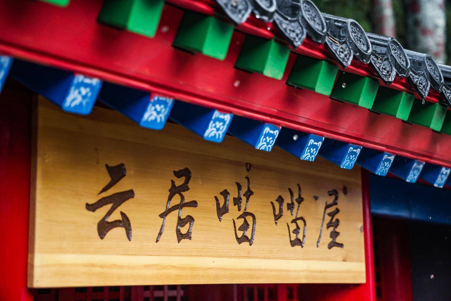 千年古刹迎来一群“守护喵” 快手公益“老铁帮毛铁·古建守护喵”首站落地云居寺